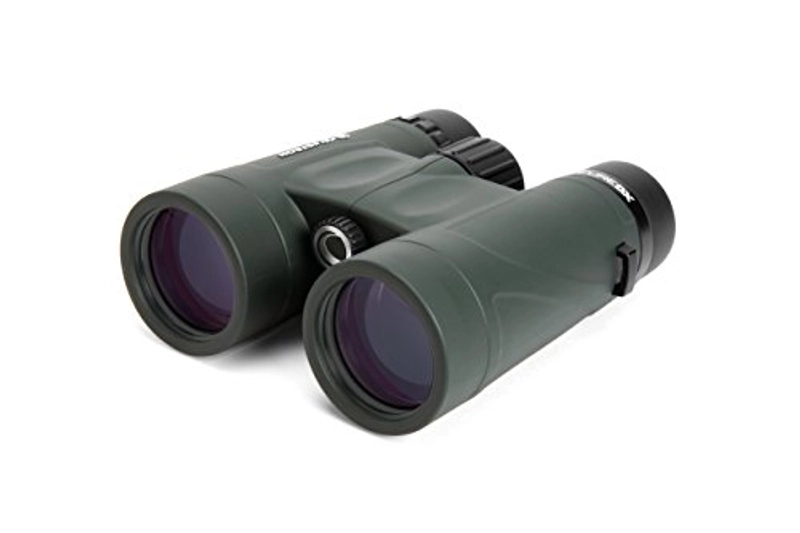 Jumelles Celestron Nature 8 × 42 - Meilleur rapport qualité / prix