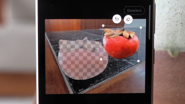 Le plaisir commence après la prise de la photo