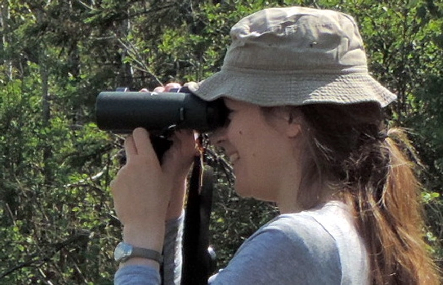 Les 6 Meilleures Jumelles à Moins de 500 Euro en 2025